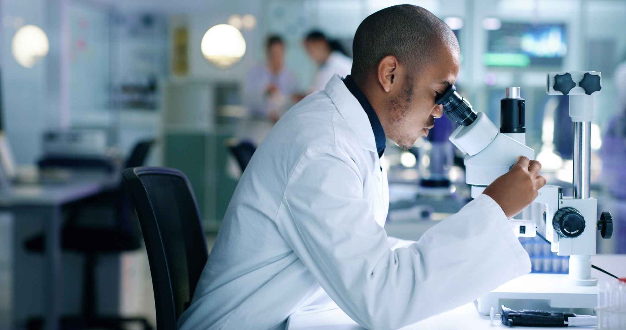 RNAi Mechanism of Action